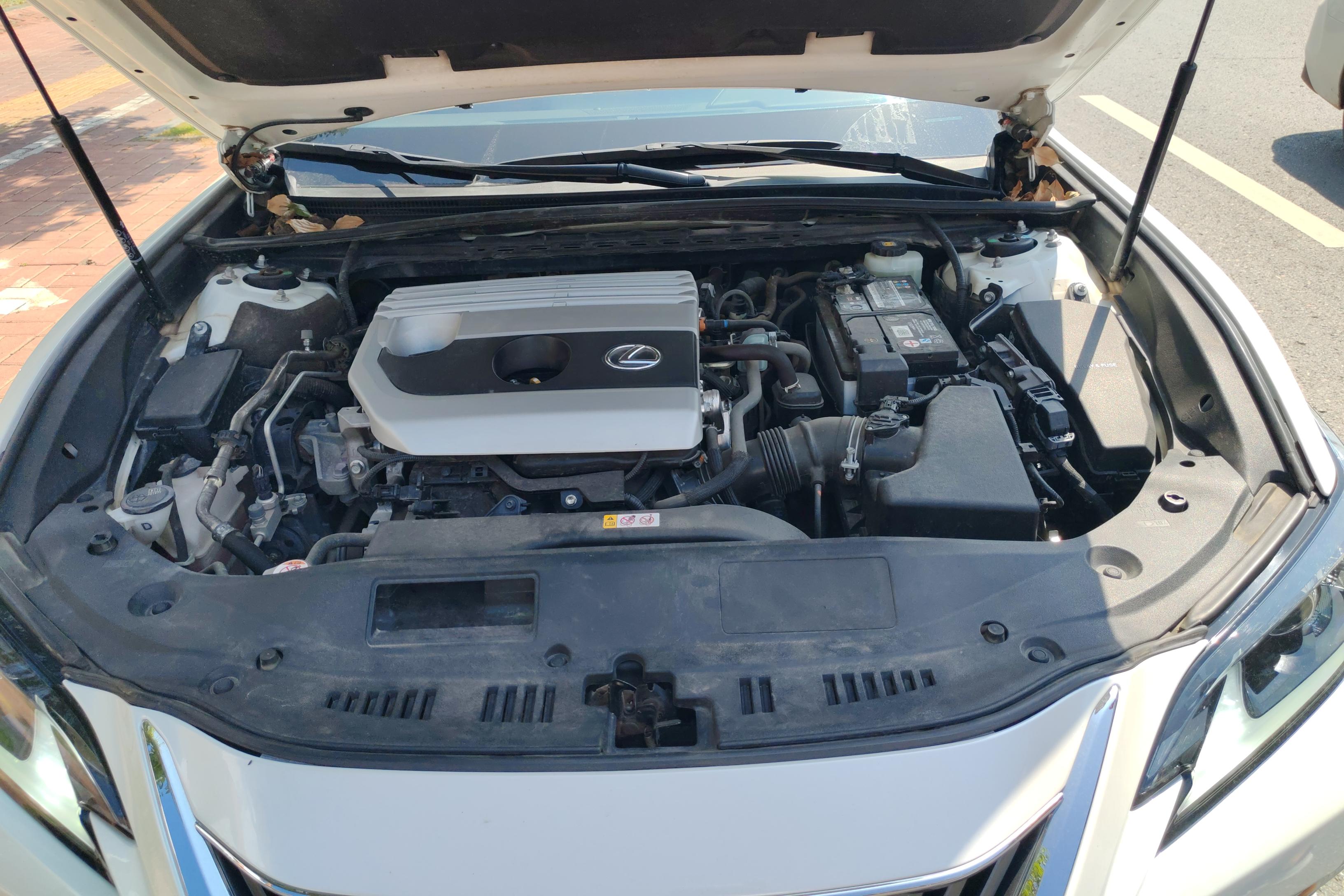 雷克萨斯ES 200 [进口] 2020款 2.0L 自动 卓越版 