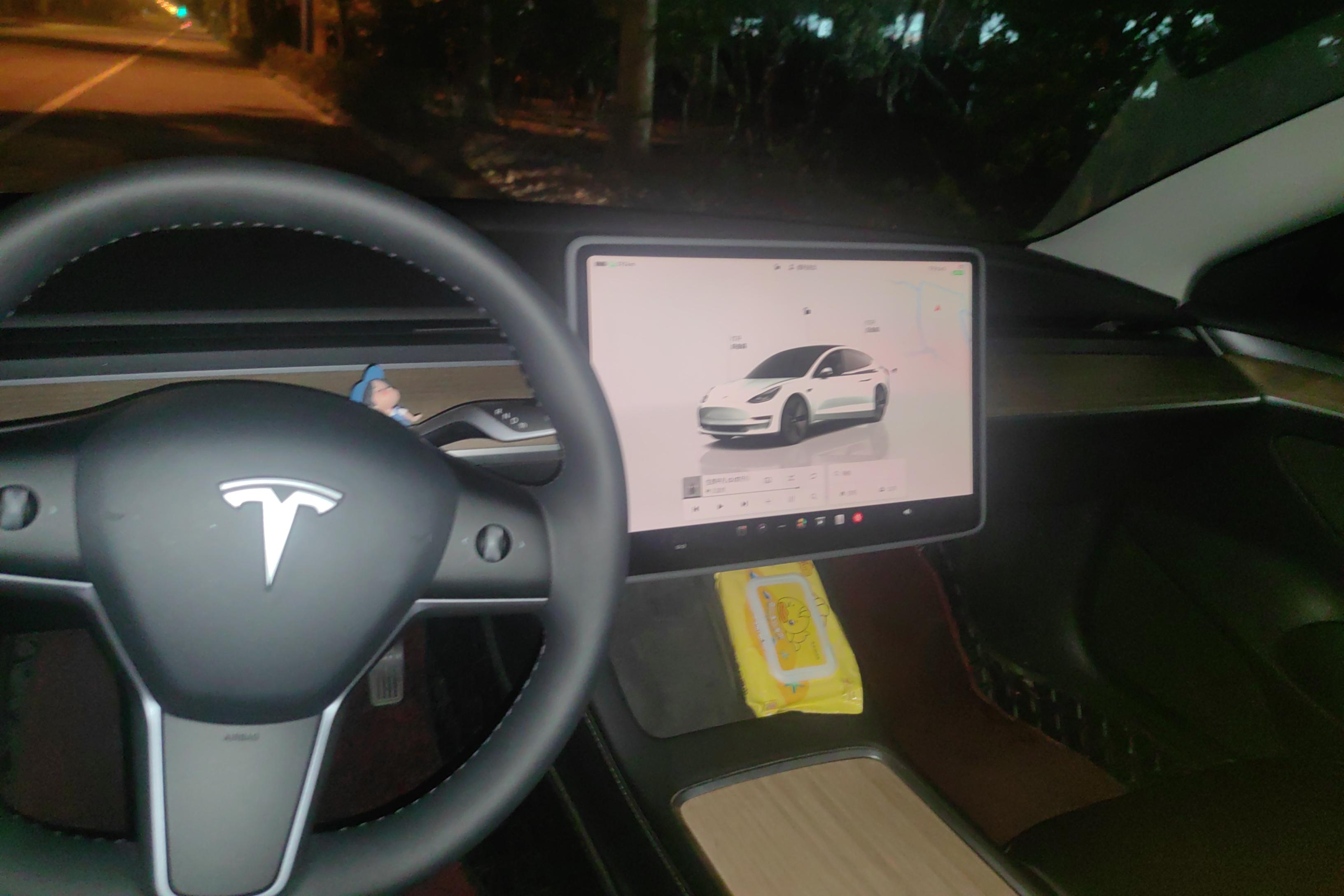 特斯拉MODEL 3 2022款 自动 后轮驱动版 纯电动 