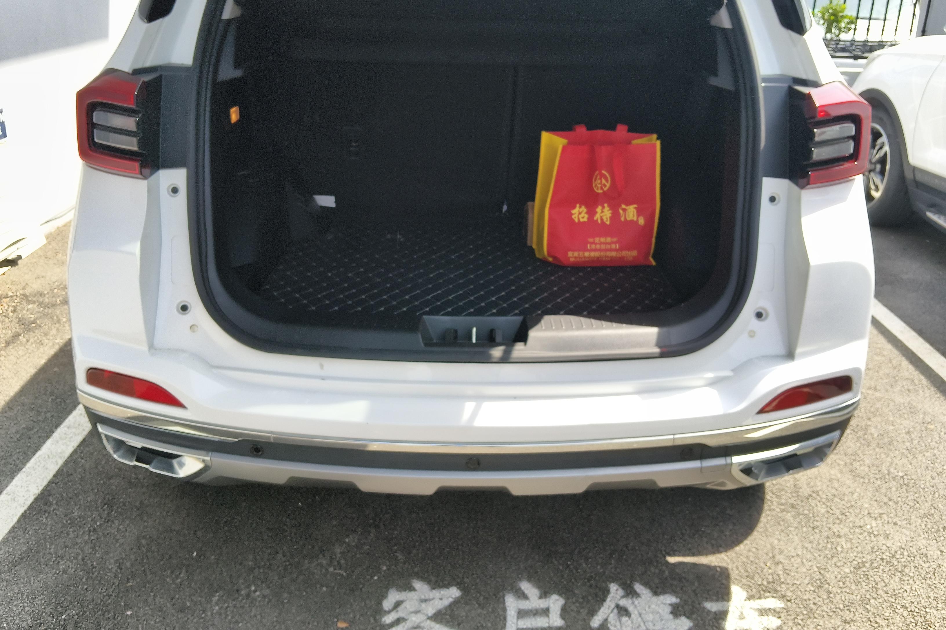 奇瑞瑞虎e 2021款 自动 虎跃版 纯电动 