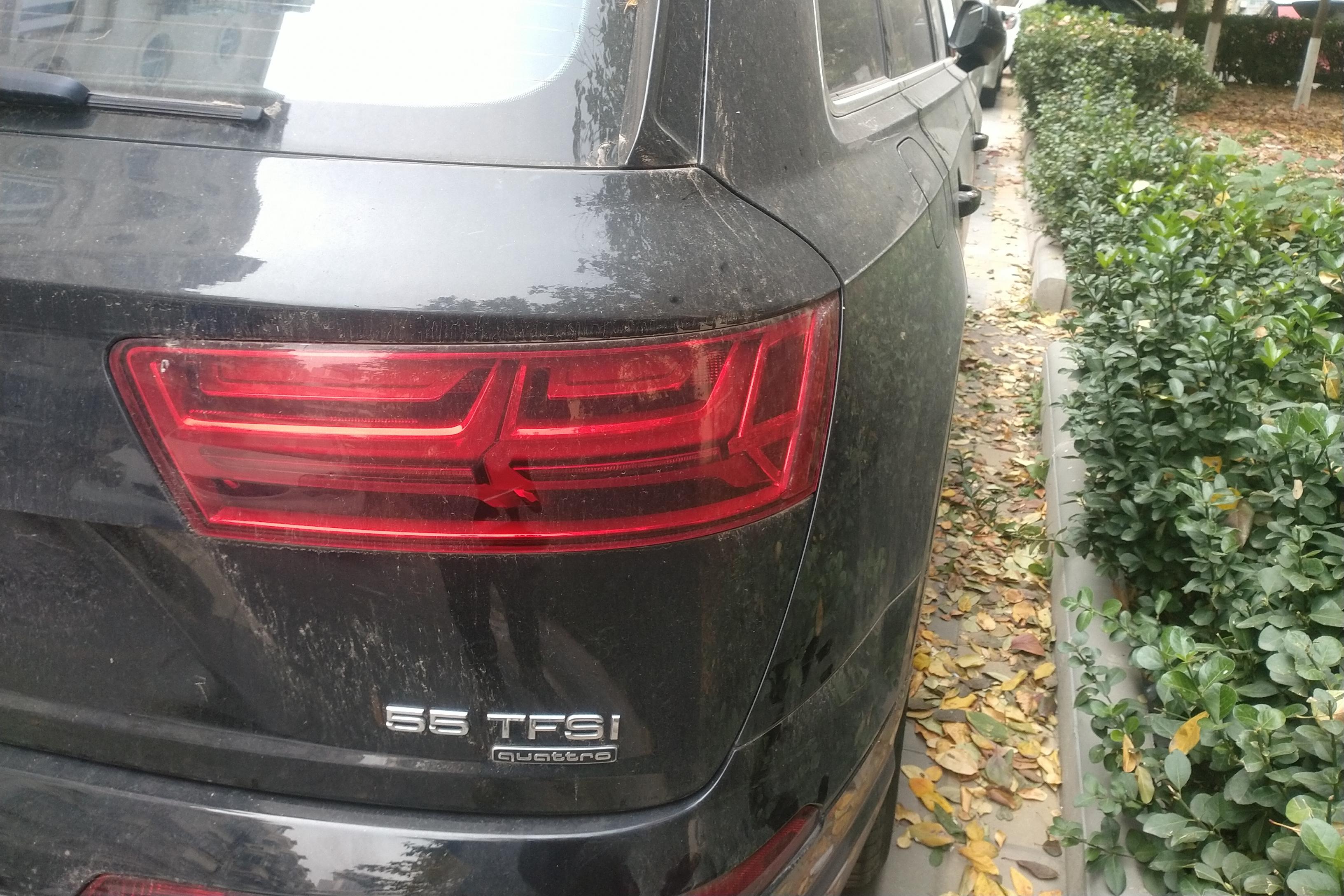 奥迪Q7 55 [进口] 2019款 3.0T 自动 技术型 