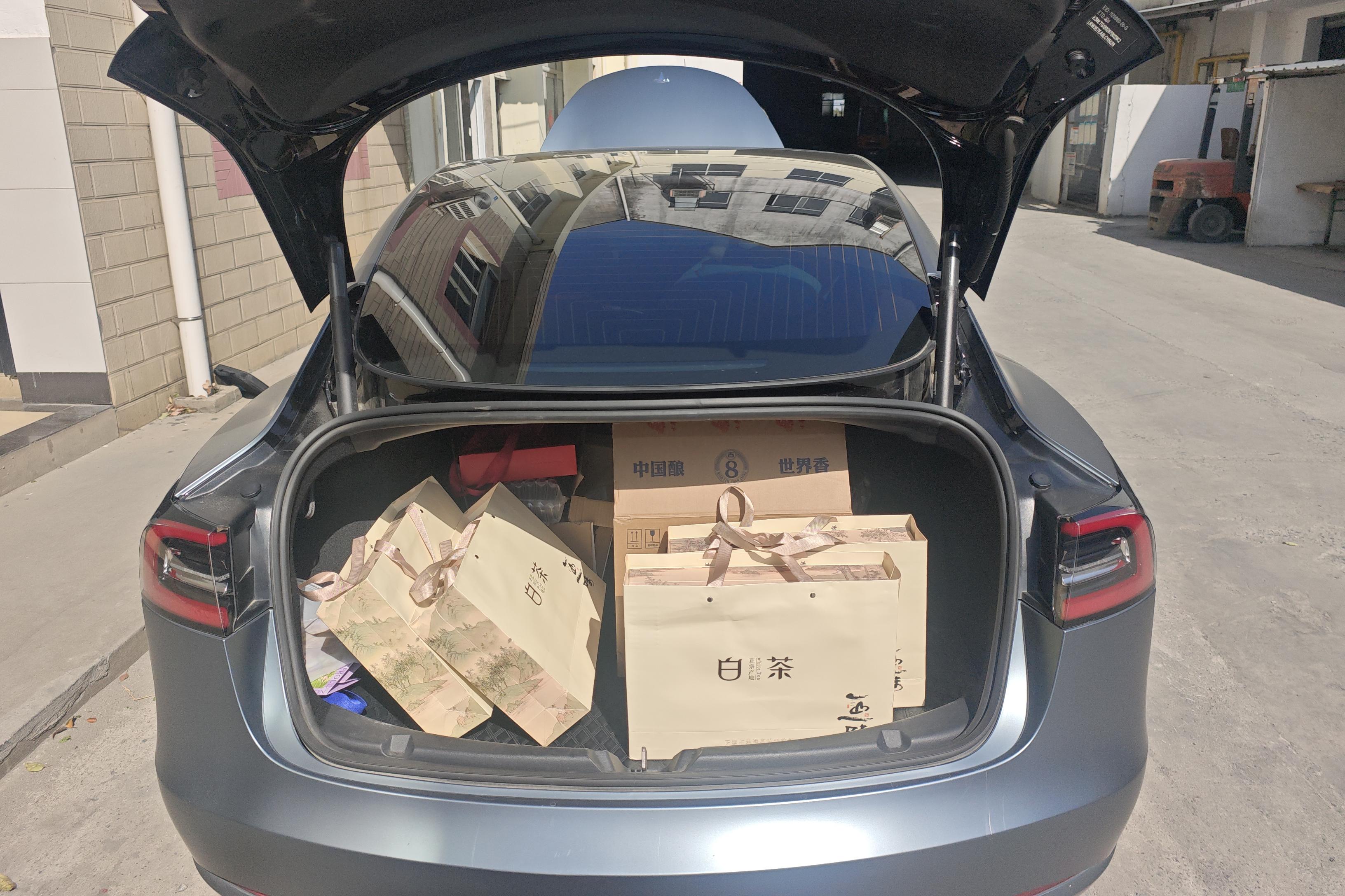 特斯拉MODEL 3 2019款 自动 标准续航升级版 纯电动 