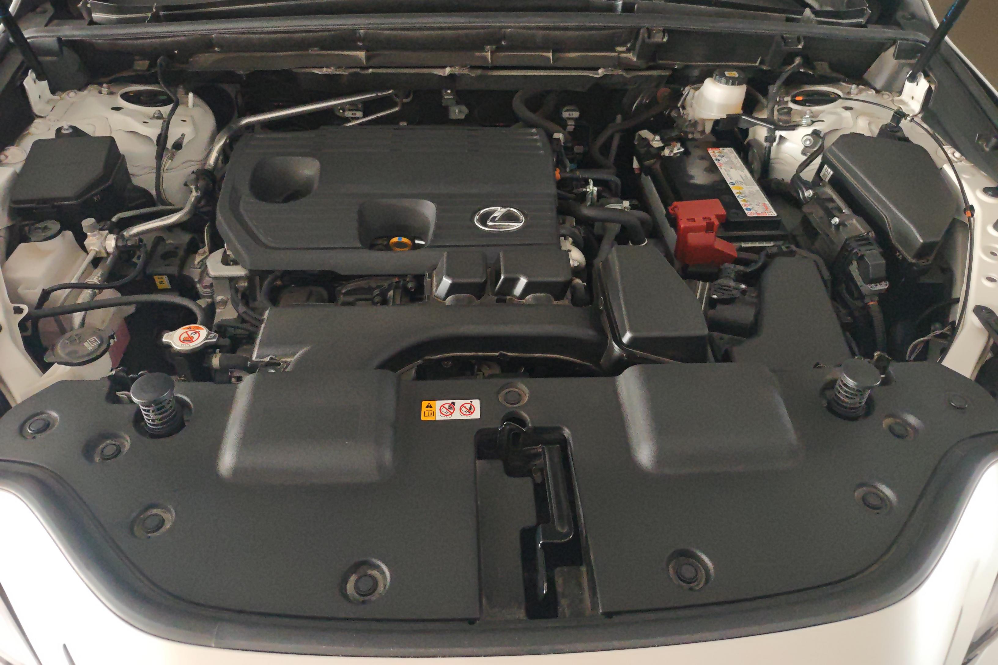 雷克萨斯NX 260 [进口] 2022款 2.5L 自动 创驰版 