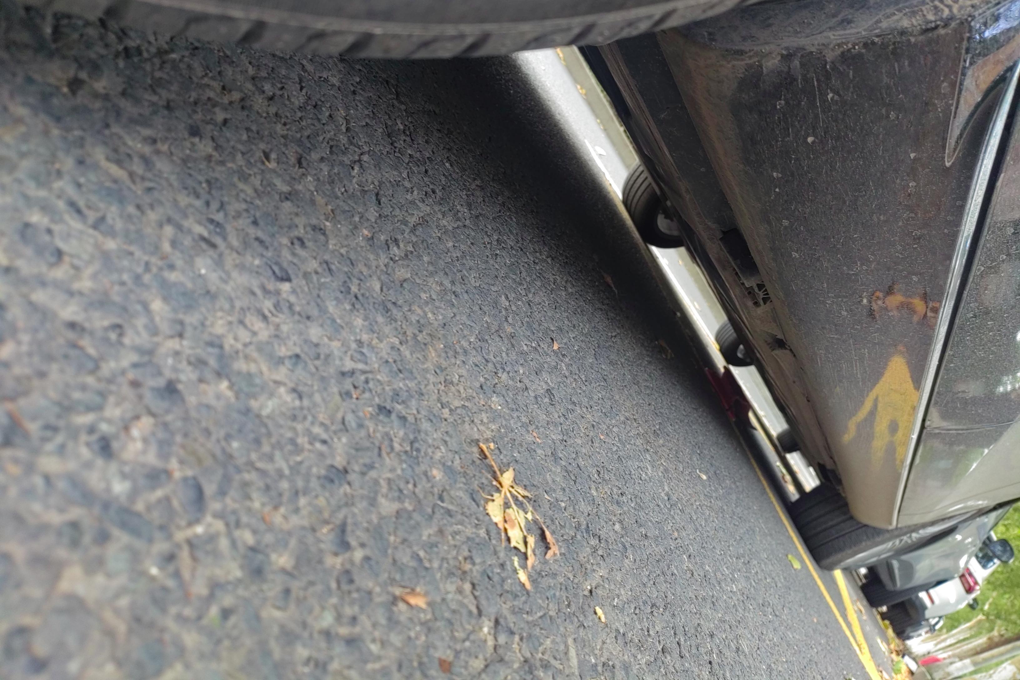 奔驰E级 300L 2023款 2.0T 自动 汽油 豪华型 (国Ⅵ) 