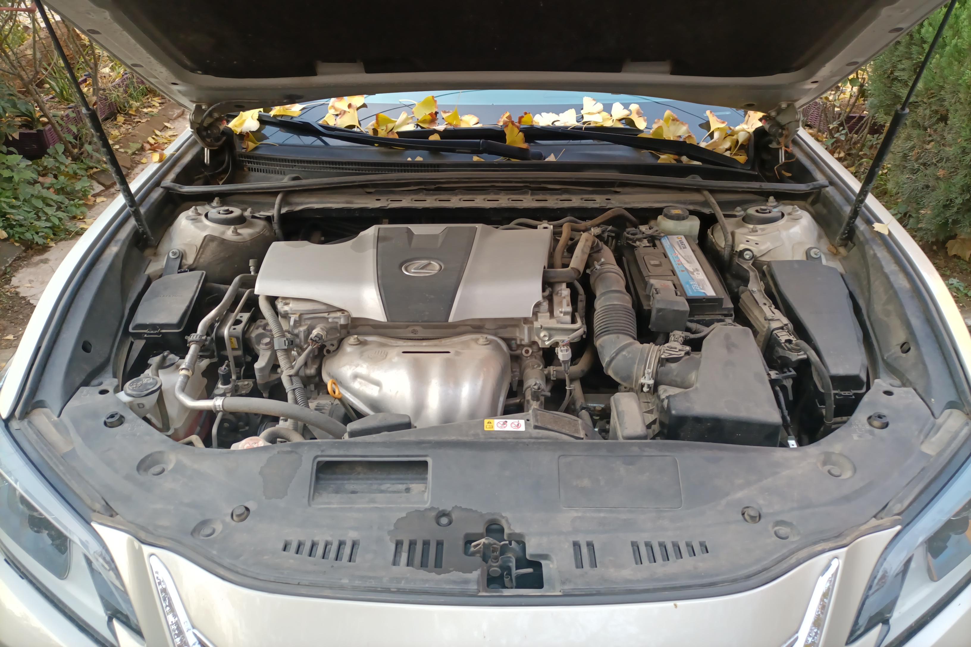 雷克萨斯ES 200 [进口] 2018款 2.0L 自动 卓越版 (国Ⅴ) 