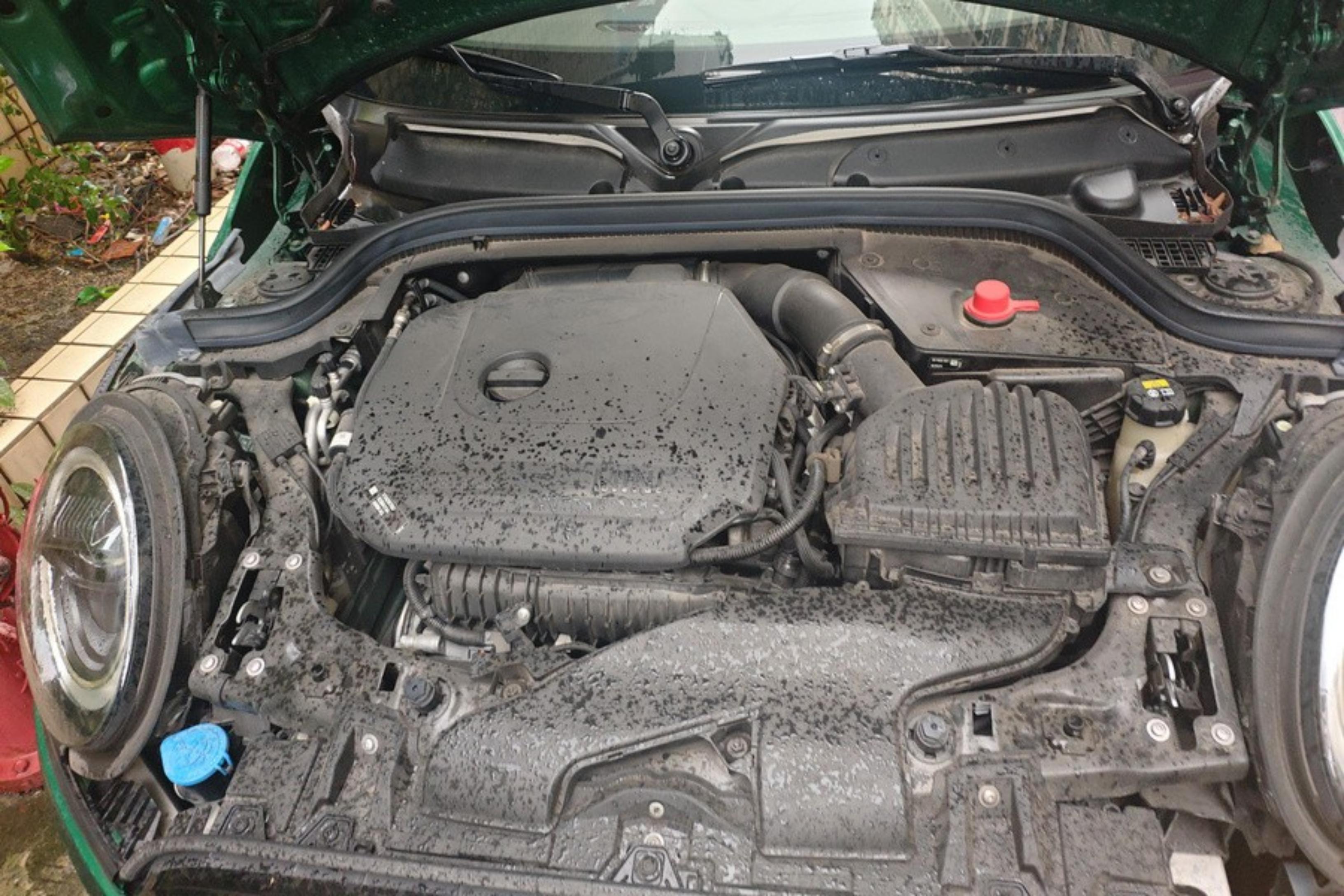 迷你Clubman [进口] 2023款 1.5T 自动 改款鉴赏家 