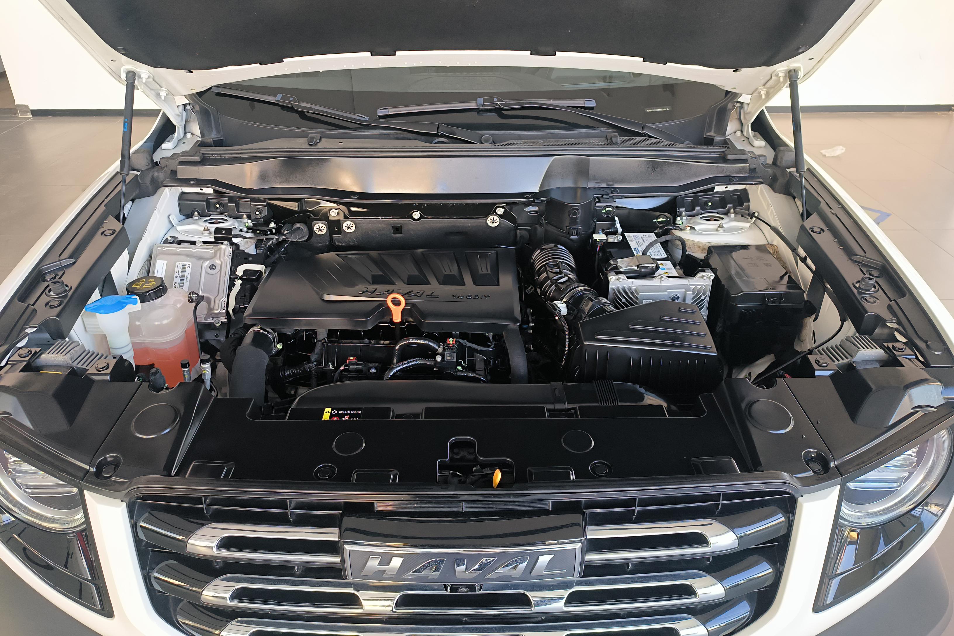 哈弗哈弗大狗 2021款 1.5T 自动 边牧版 (国Ⅵ) 