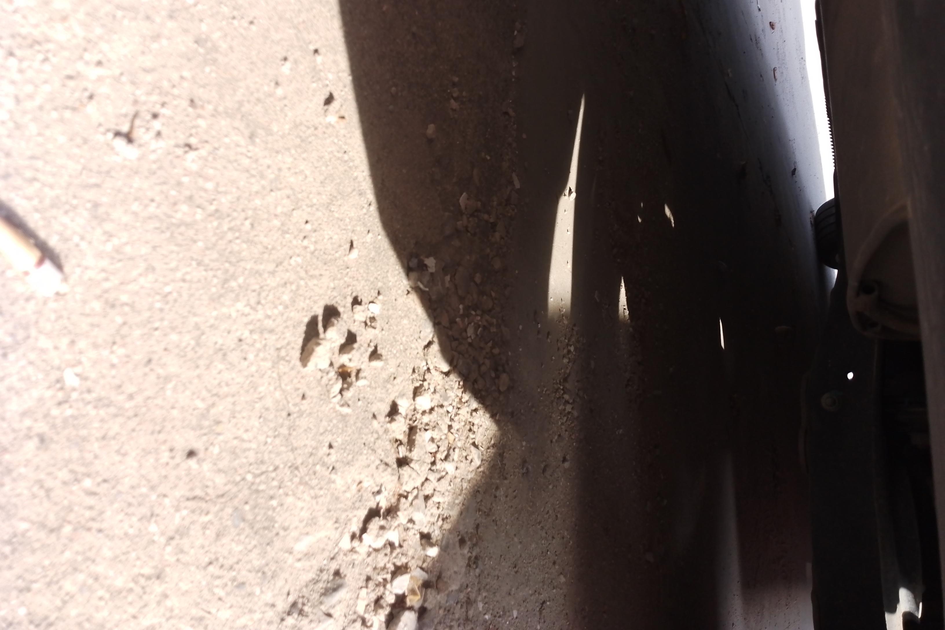 奥迪A3 35TFSI 2020款 1.4T 自动 汽油 时尚型Sportback (国Ⅵ) 