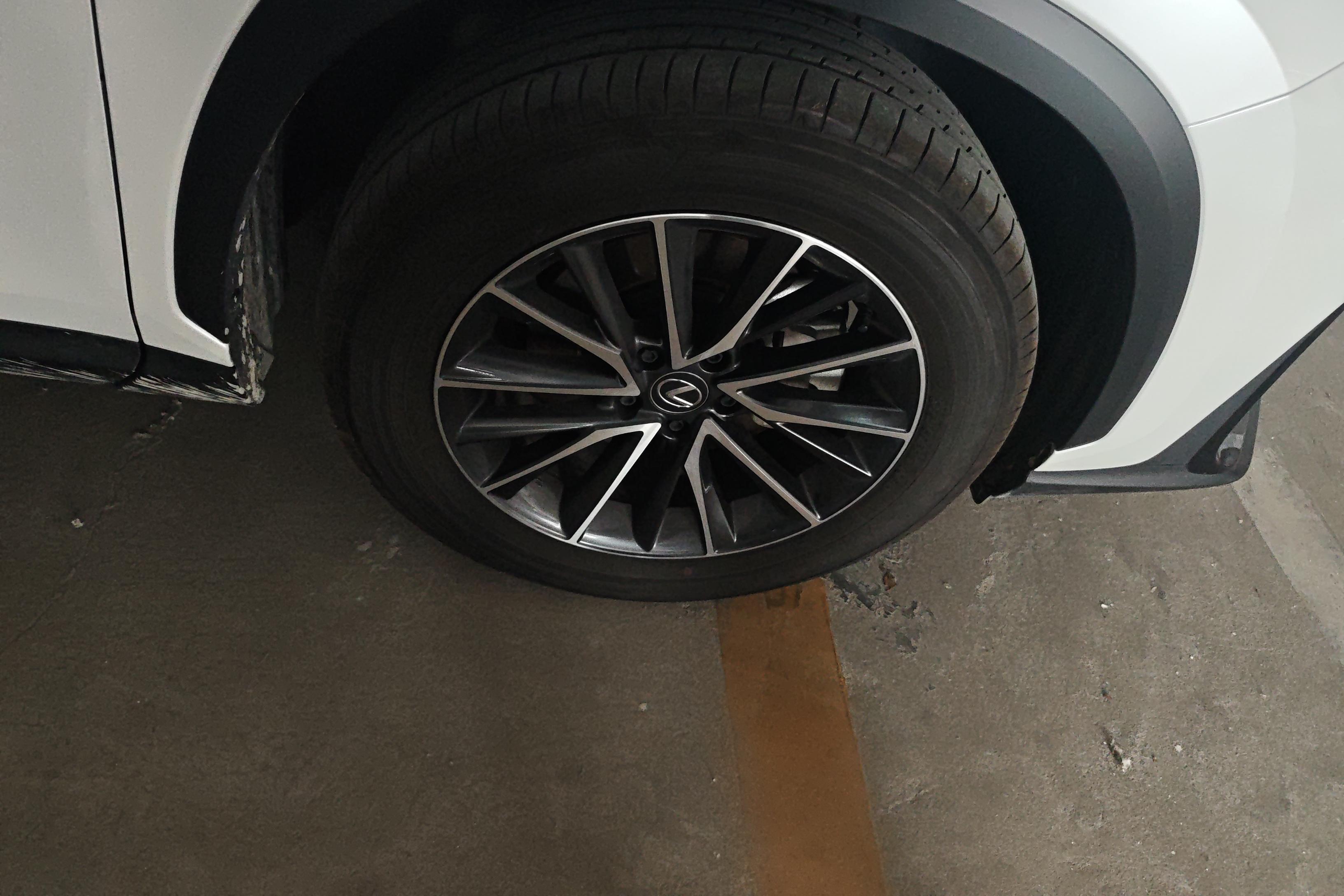 雷克萨斯NX 260 [进口] 2022款 2.5L 自动 创驰版 