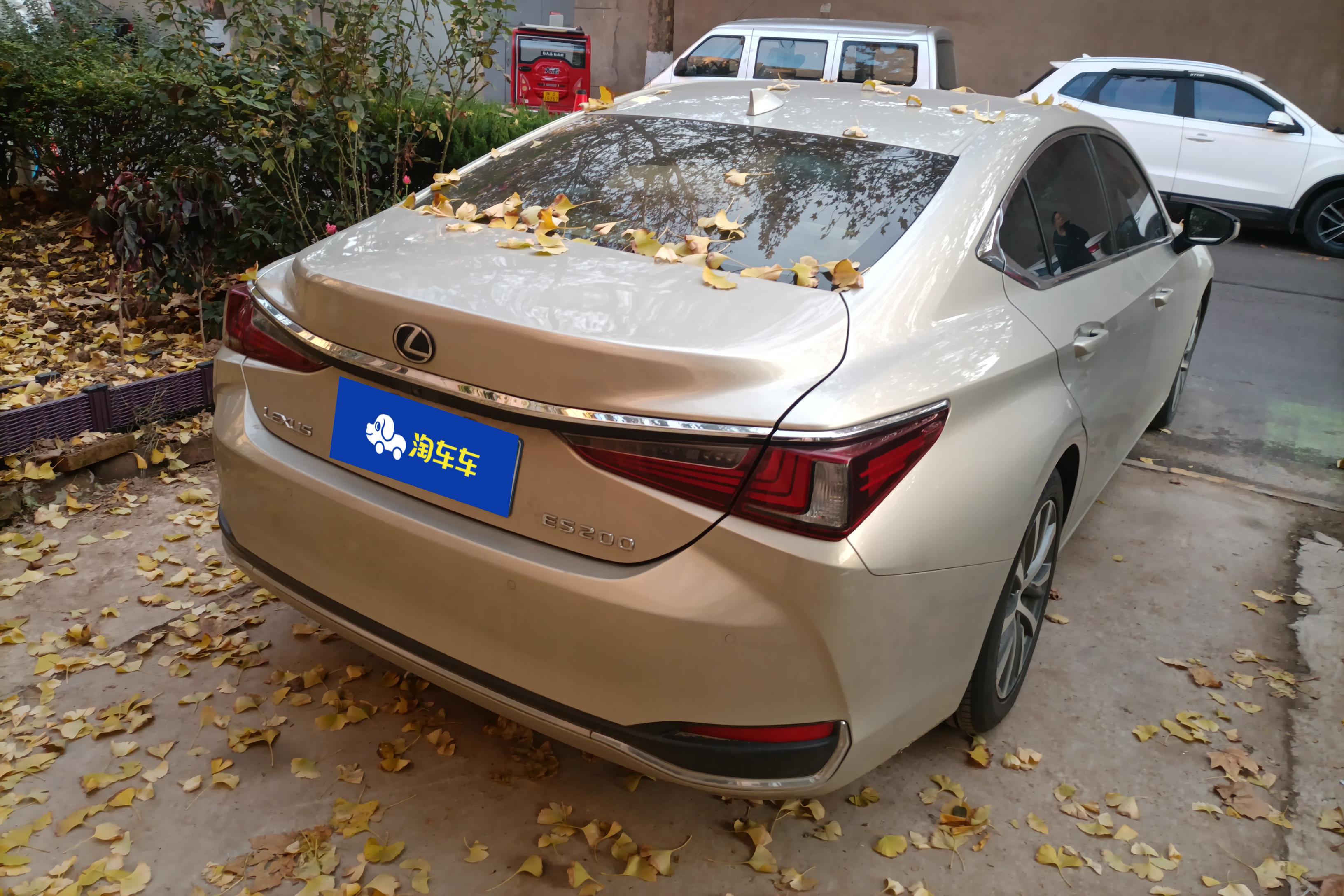 雷克萨斯ES 200 [进口] 2018款 2.0L 自动 卓越版 (国Ⅴ) 