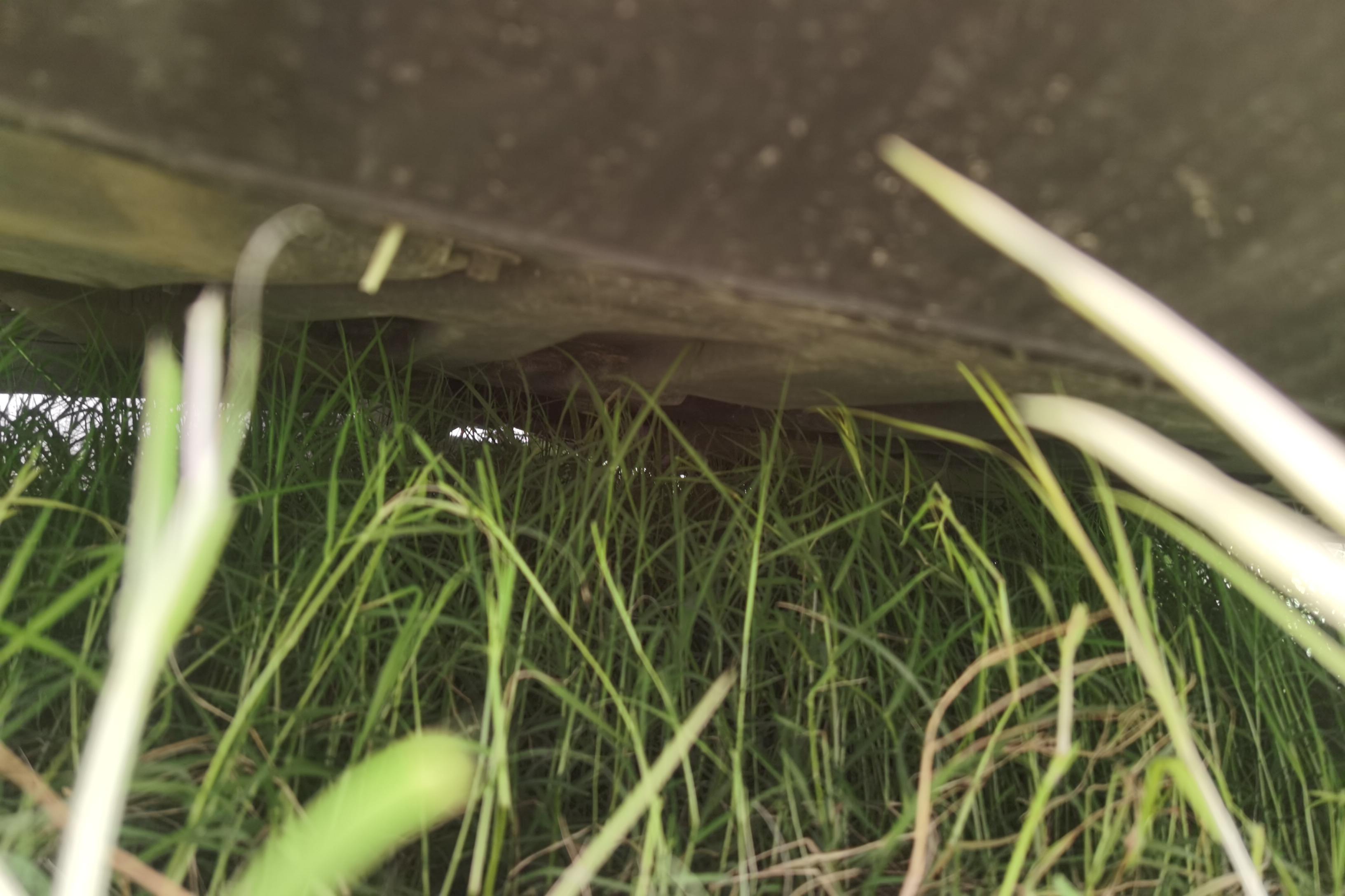 奔驰E级 E300 [进口] 2009款 3.0L 自动 汽油 优雅型 