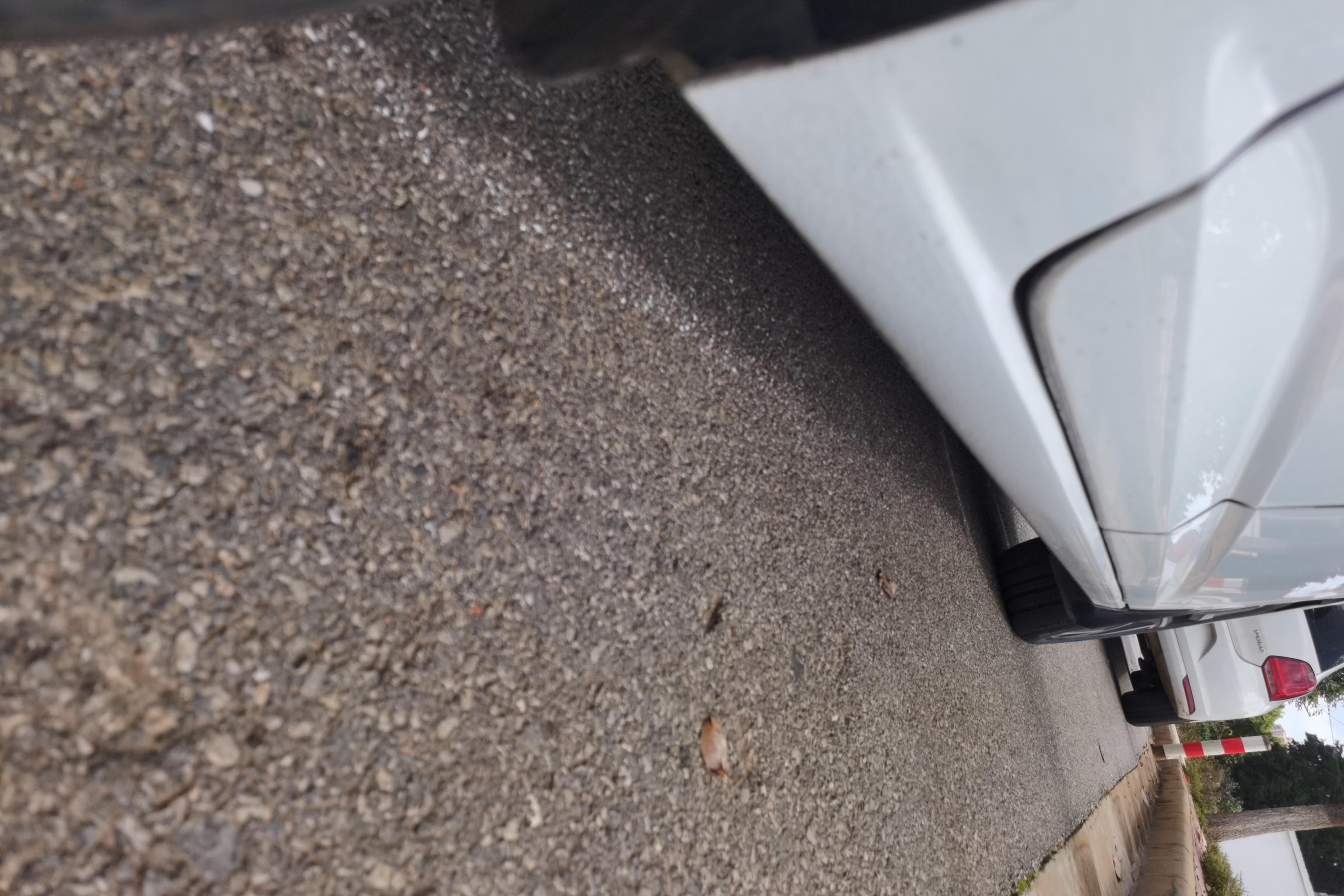 大众速腾 2021款 1.4T 自动 280TSI超越版 (国Ⅵ) 