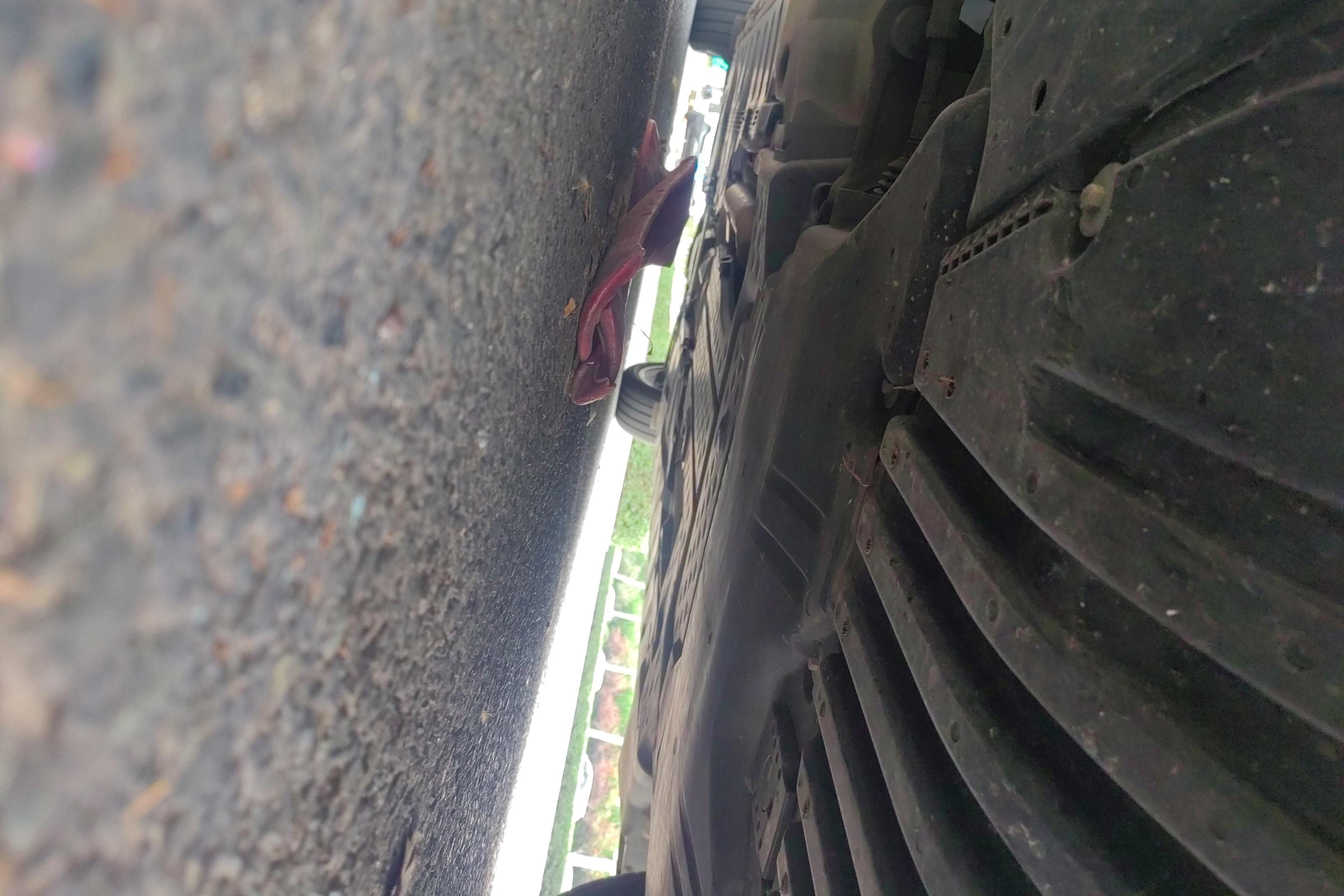 奔驰E级 300L 2023款 2.0T 自动 汽油 豪华型 (国Ⅵ) 