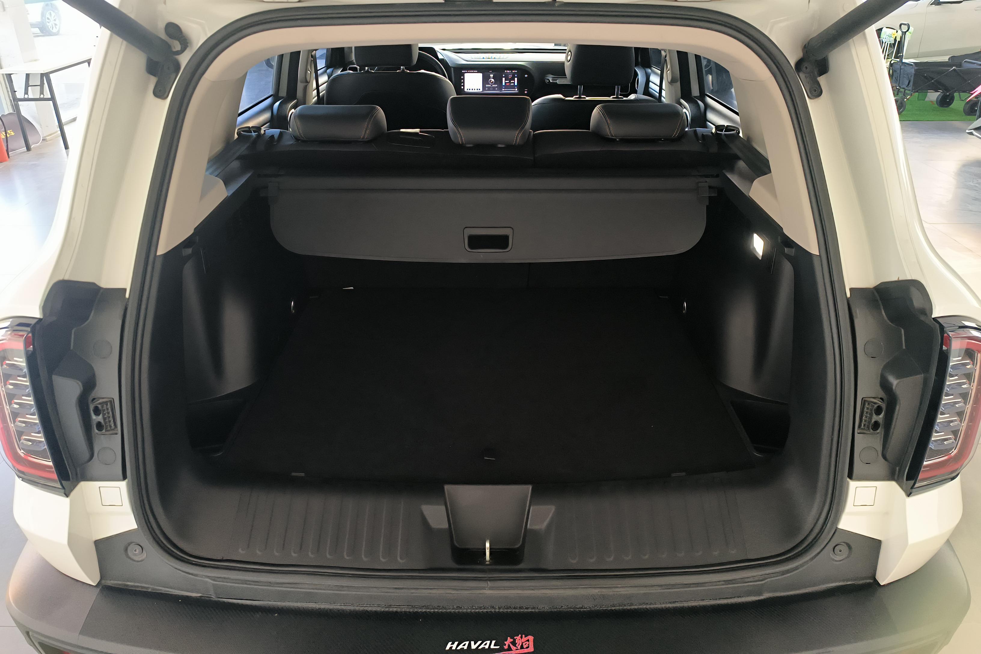 哈弗哈弗大狗 2021款 1.5T 自动 边牧版 (国Ⅵ) 