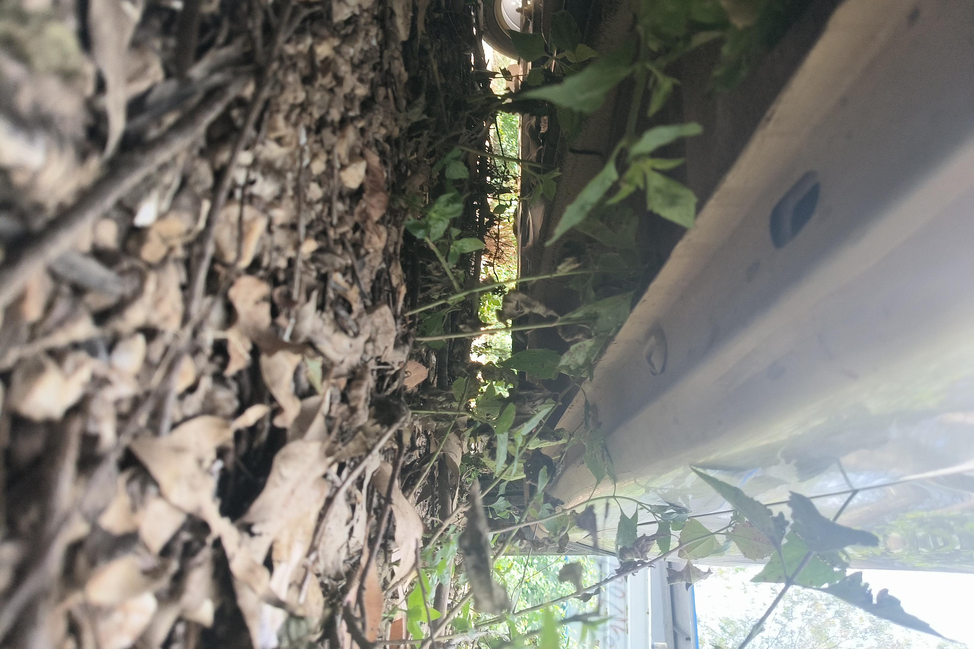 荣威i5 2020款 1.5L 自动 4G互联领豪版 (国Ⅵ) 