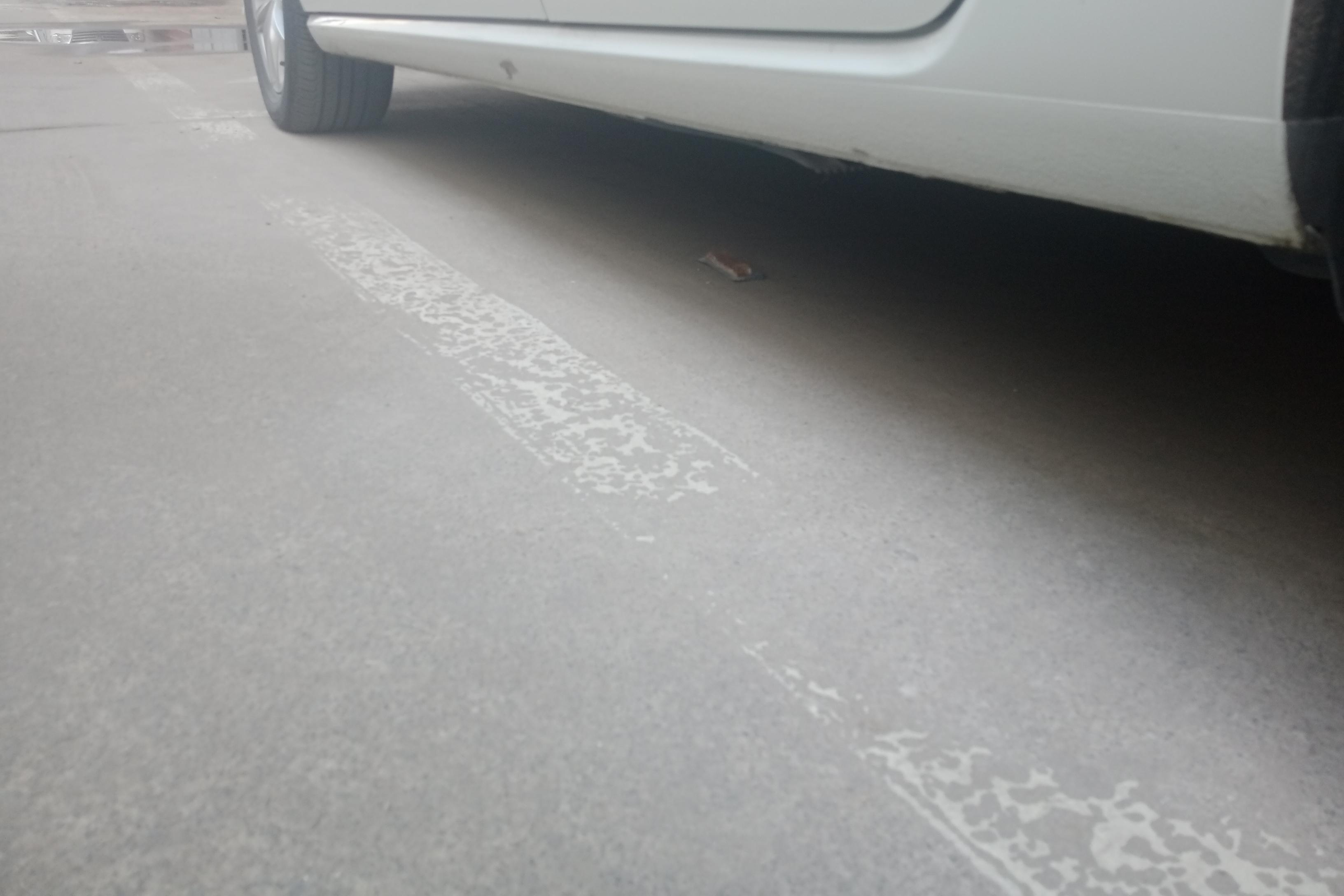 大众高尔夫 2019款 1.2T 自动 汽油 200TSI舒适型进取版 (国Ⅵ) 