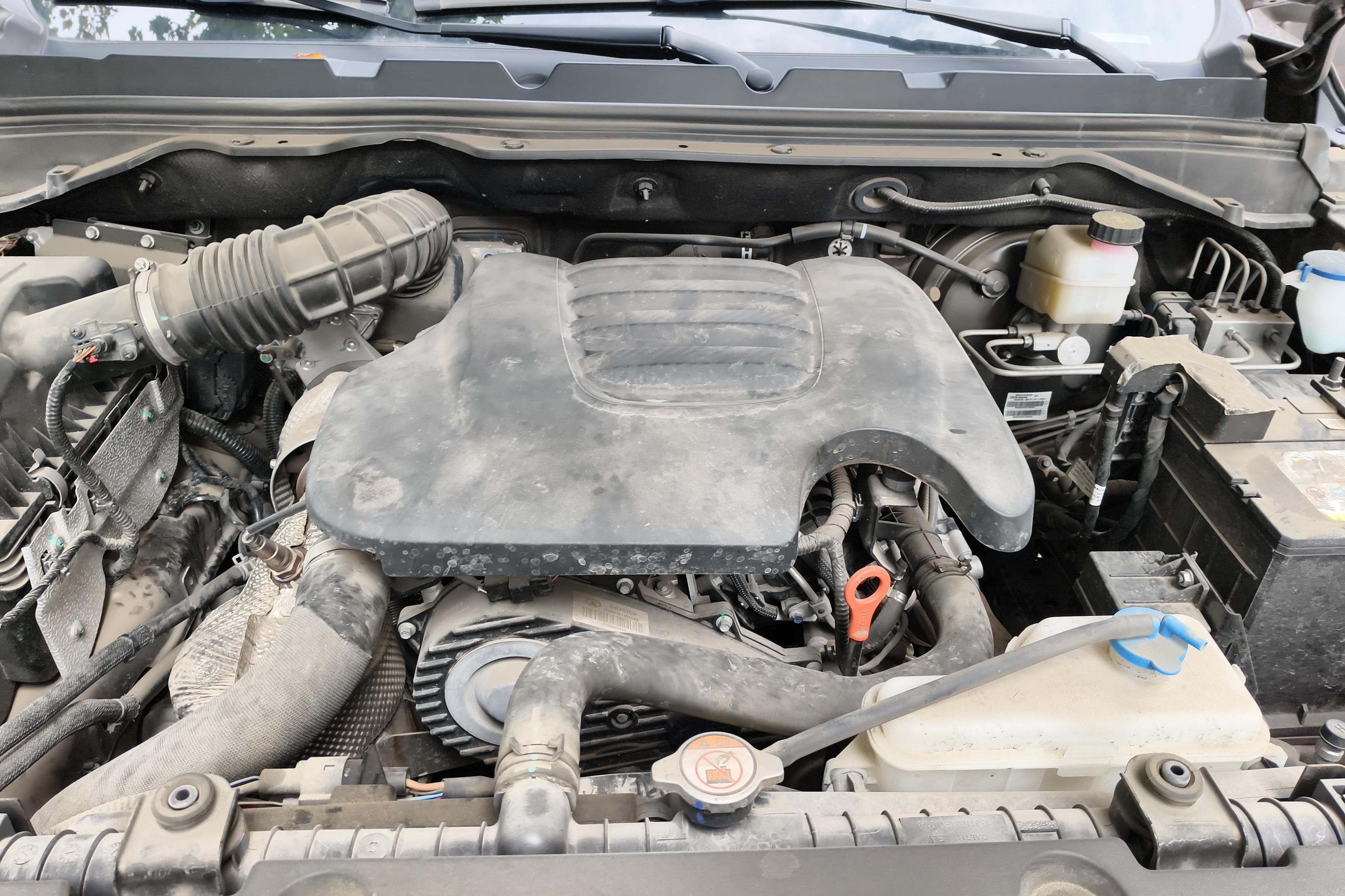 长城炮 乘用全球版 2021款 2.0T 自动 尊享型 (国Ⅵ) 