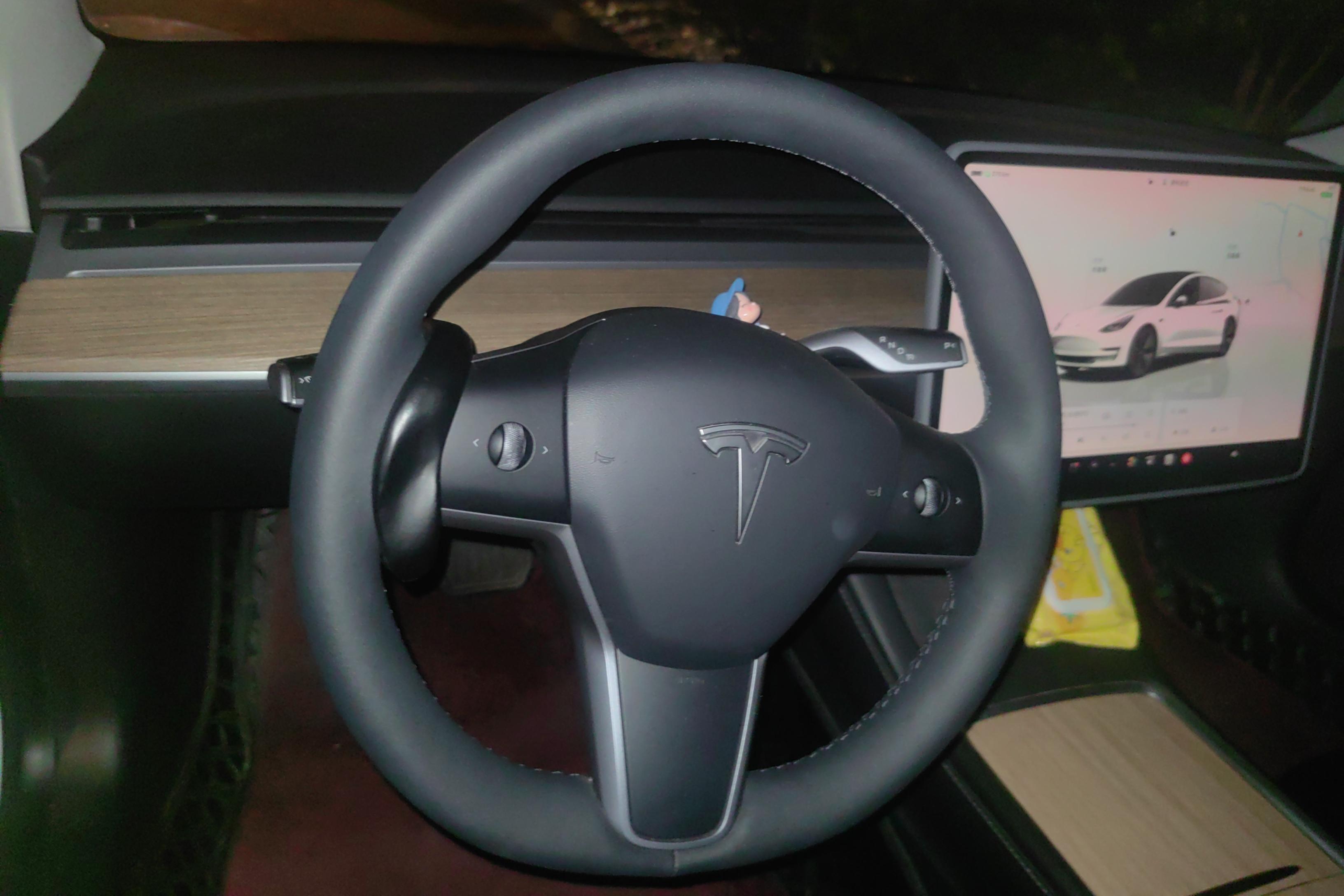 特斯拉MODEL 3 2022款 自动 后轮驱动版 纯电动 