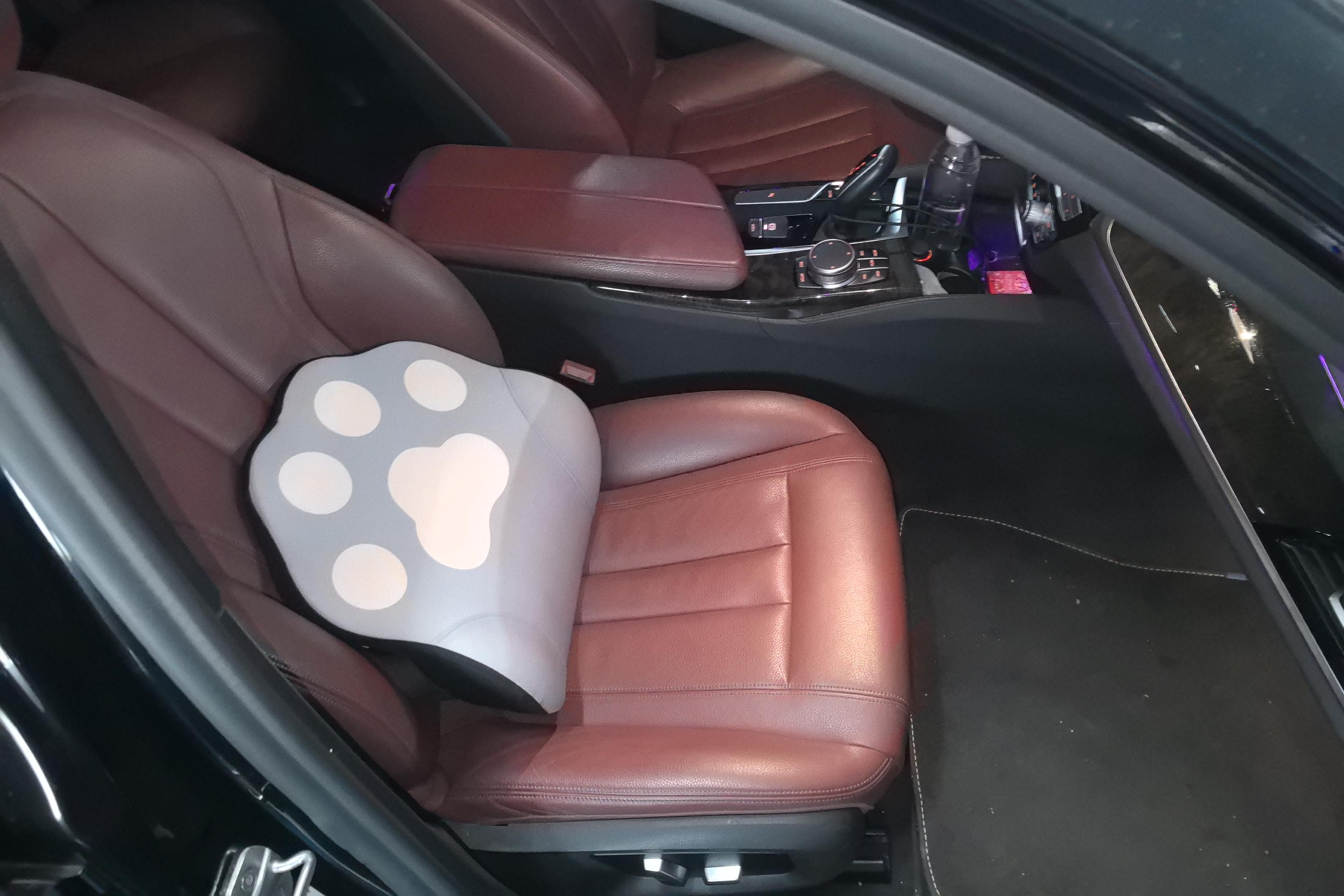 宝马5系 530Li 2019款 2.0T 自动 汽油 领先型M运动套装改款 (国Ⅵ) 