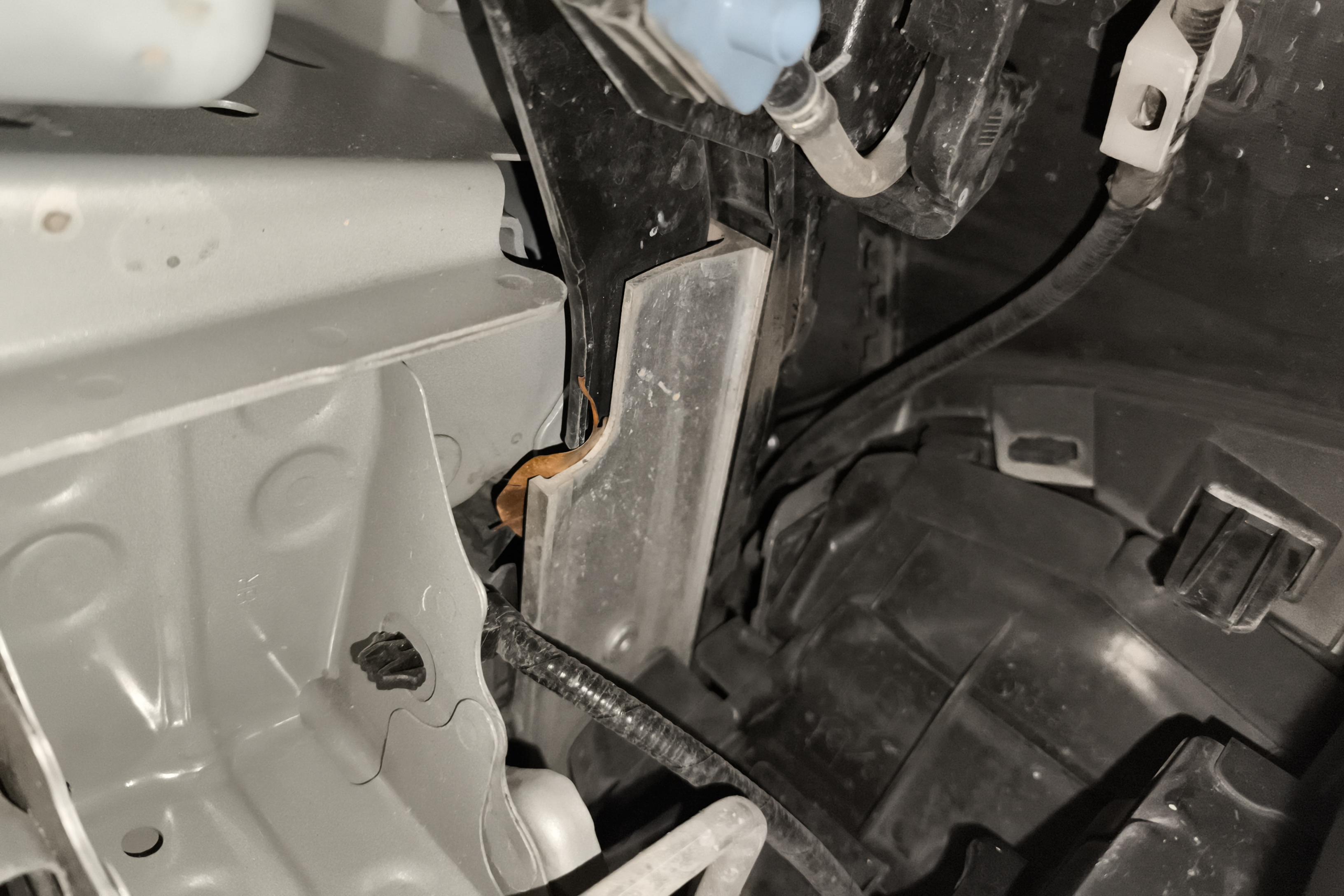 雷克萨斯ES 200 [进口] 2020款 2.0L 自动 卓越版 