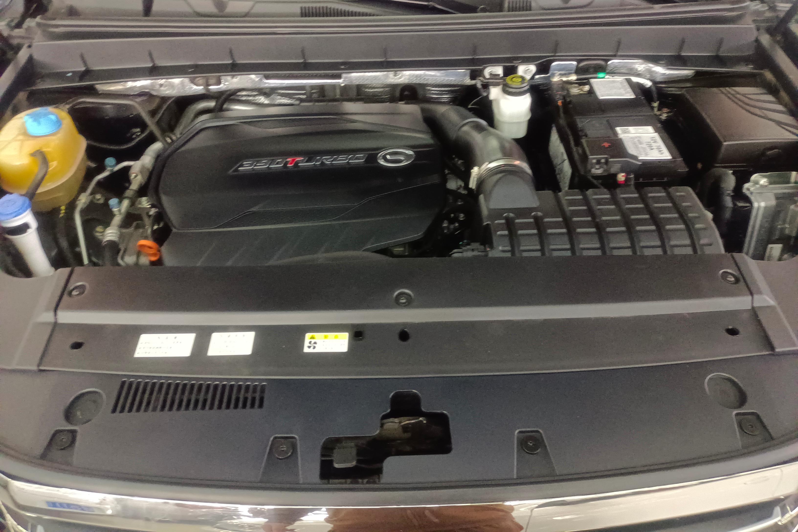 传祺GS8 2020款 2.0T 自动 390T豪华智联版 (国Ⅵ) 