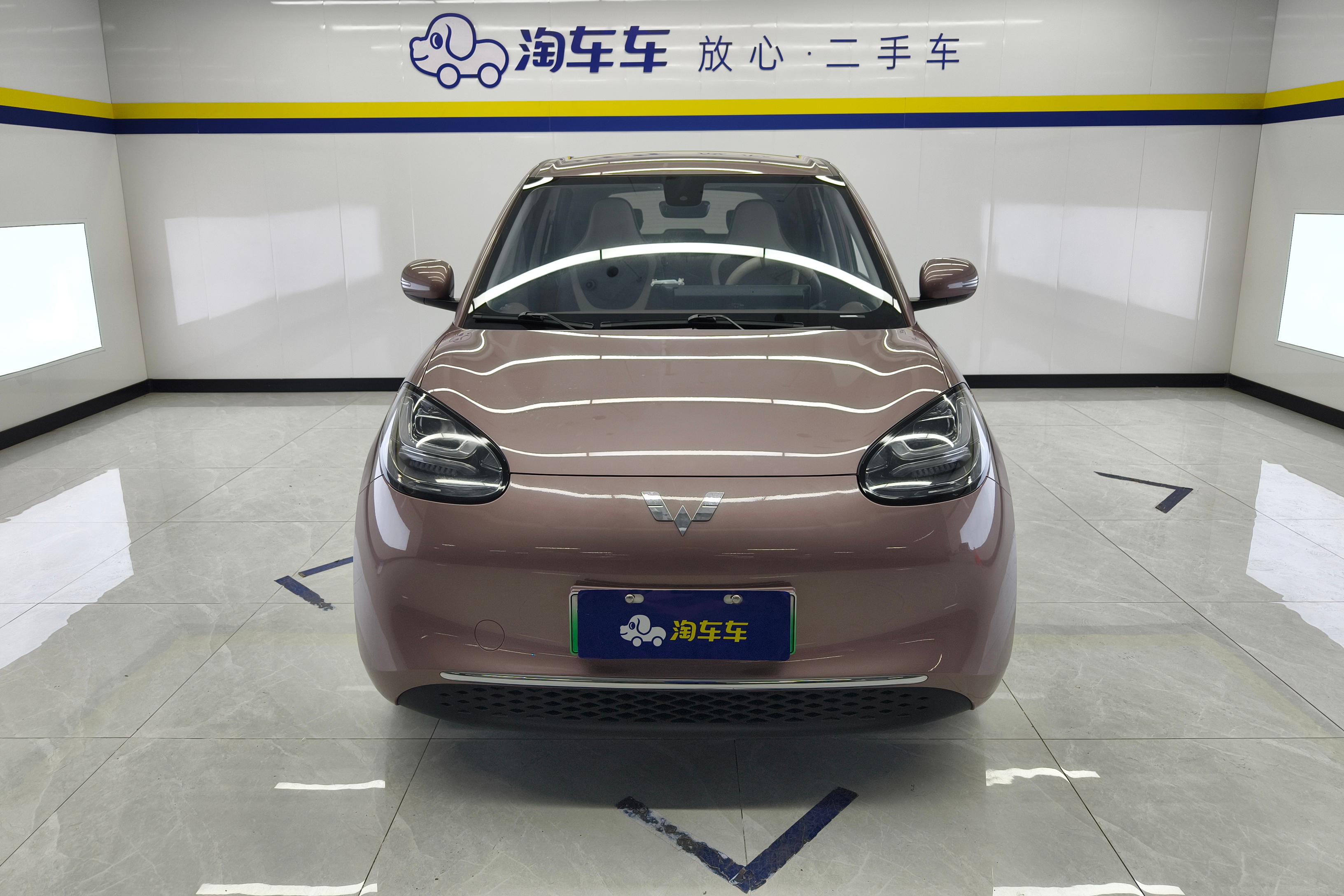 五菱缤果 2023款 0.0T 自动 333km悦享款 